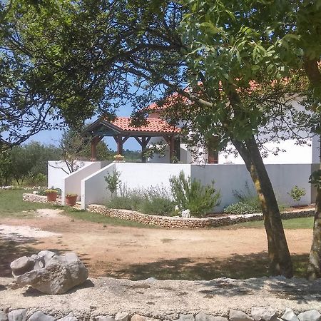 House Soni - 800 M From The Sea Villa Rovinj Bagian luar foto