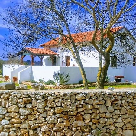 House Soni - 800 M From The Sea Villa Rovinj Bagian luar foto