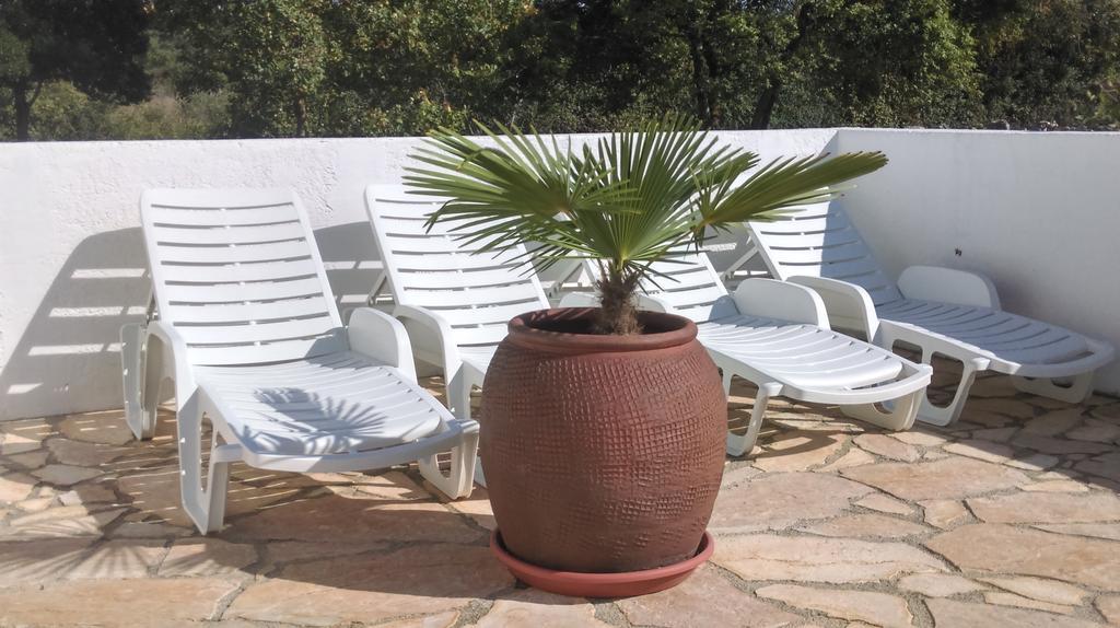 House Soni - 800 M From The Sea Villa Rovinj Bagian luar foto