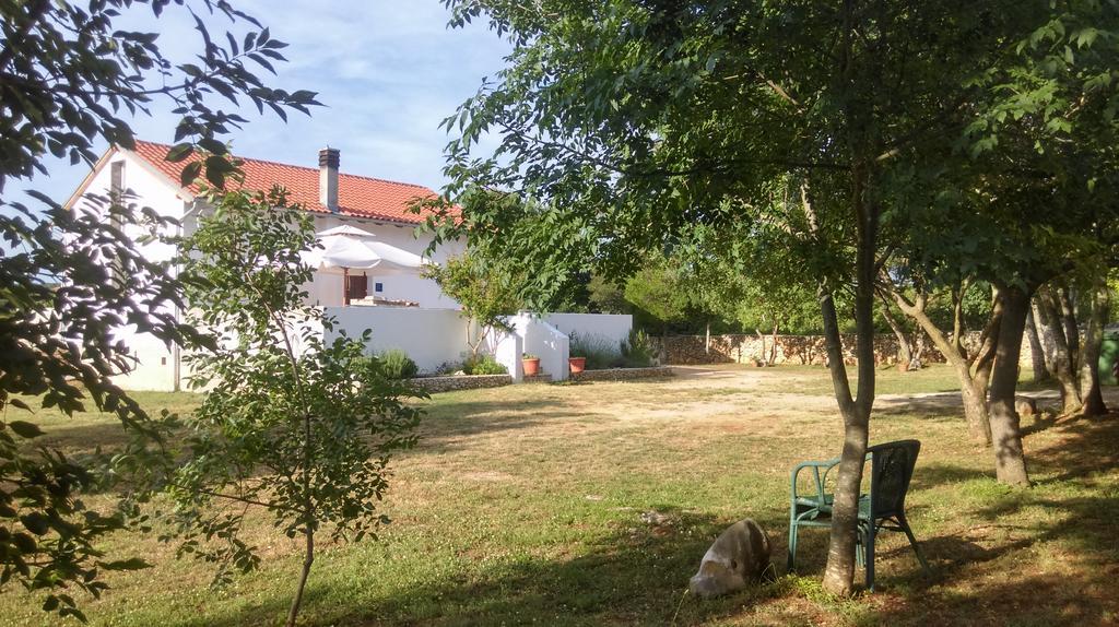 House Soni - 800 M From The Sea Villa Rovinj Bagian luar foto